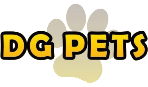 DGPETS | Adestramento de Câes